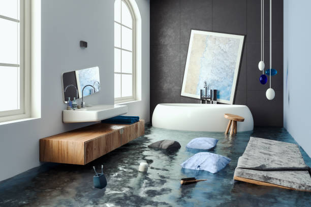Best Water damage restoration experts  in Tremonton, UT