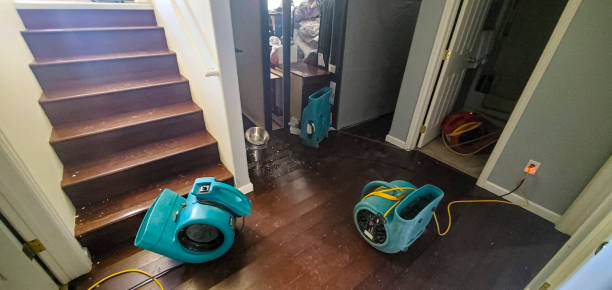 Best Sewage cleanup and water damage restoration  in Tremonton, UT