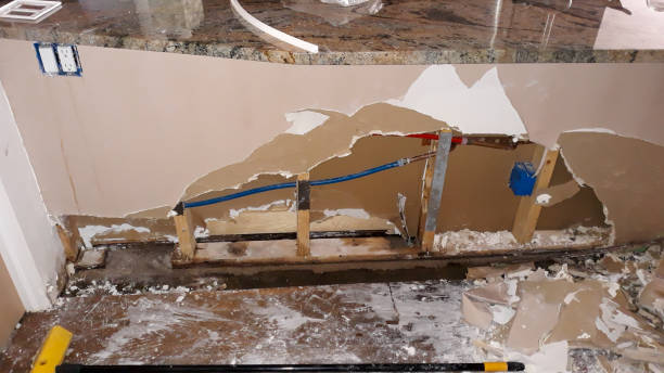 Best 24/7 water damage repair  in Tremonton, UT