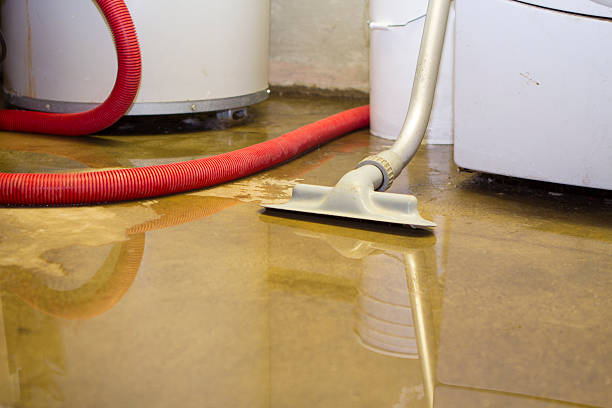 Reliable Tremonton, UT Water damage restoration Solutions