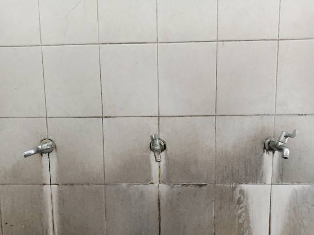 Best Fire Damage Restoration  in Tremonton, UT
