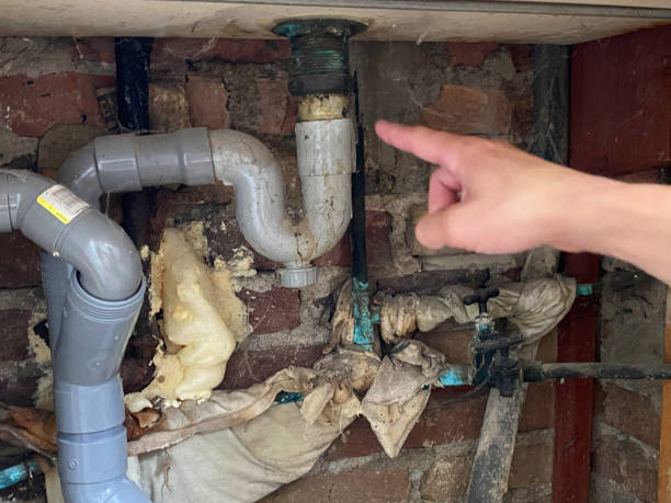 Best Flooded house restoration  in Tremonton, UT
