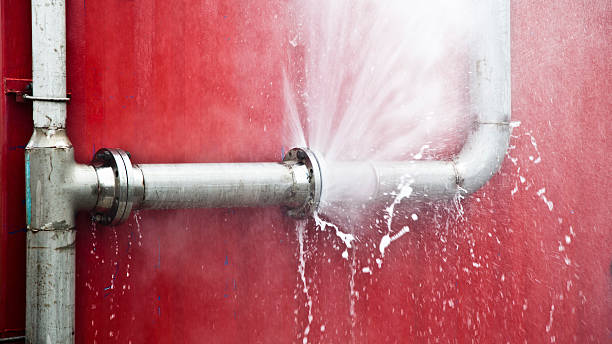 Best Flood damage cleanup  in Tremonton, UT